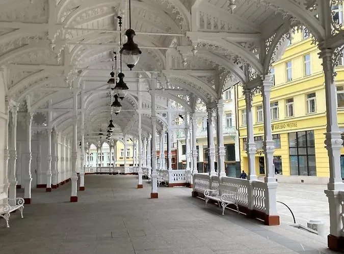 Daire New Cosy Karlovy Vary