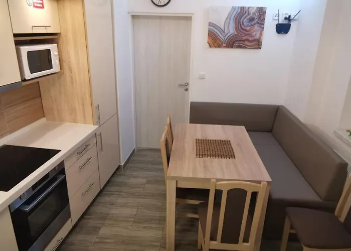 New Cosy * Karlovy Vary